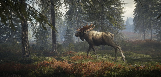 thehunter call of the wild complete collection