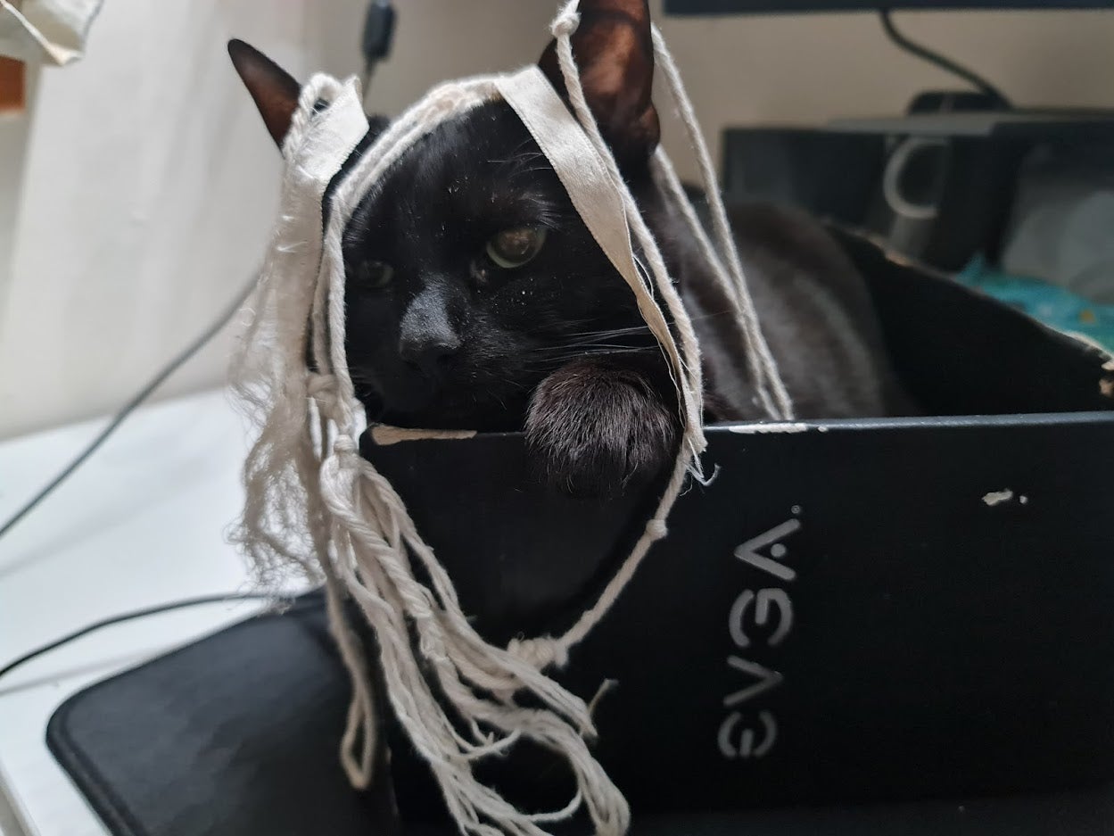 A black cat covered in white string sitting in a box
