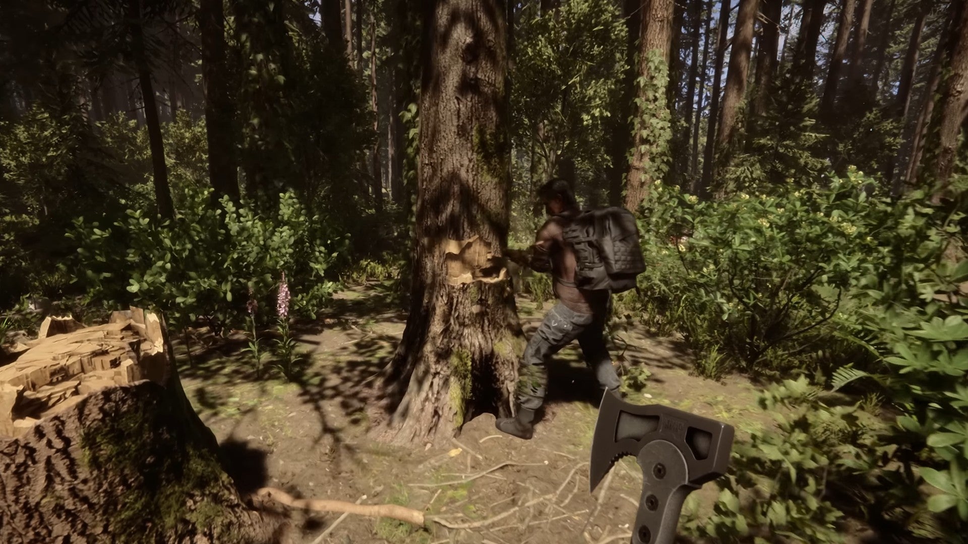 Joueur coupant des arbres dans Sons of the Forest.