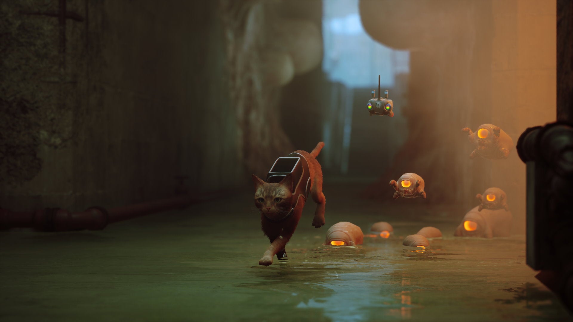 By transforming you into a cat, Stray enhances adventure games