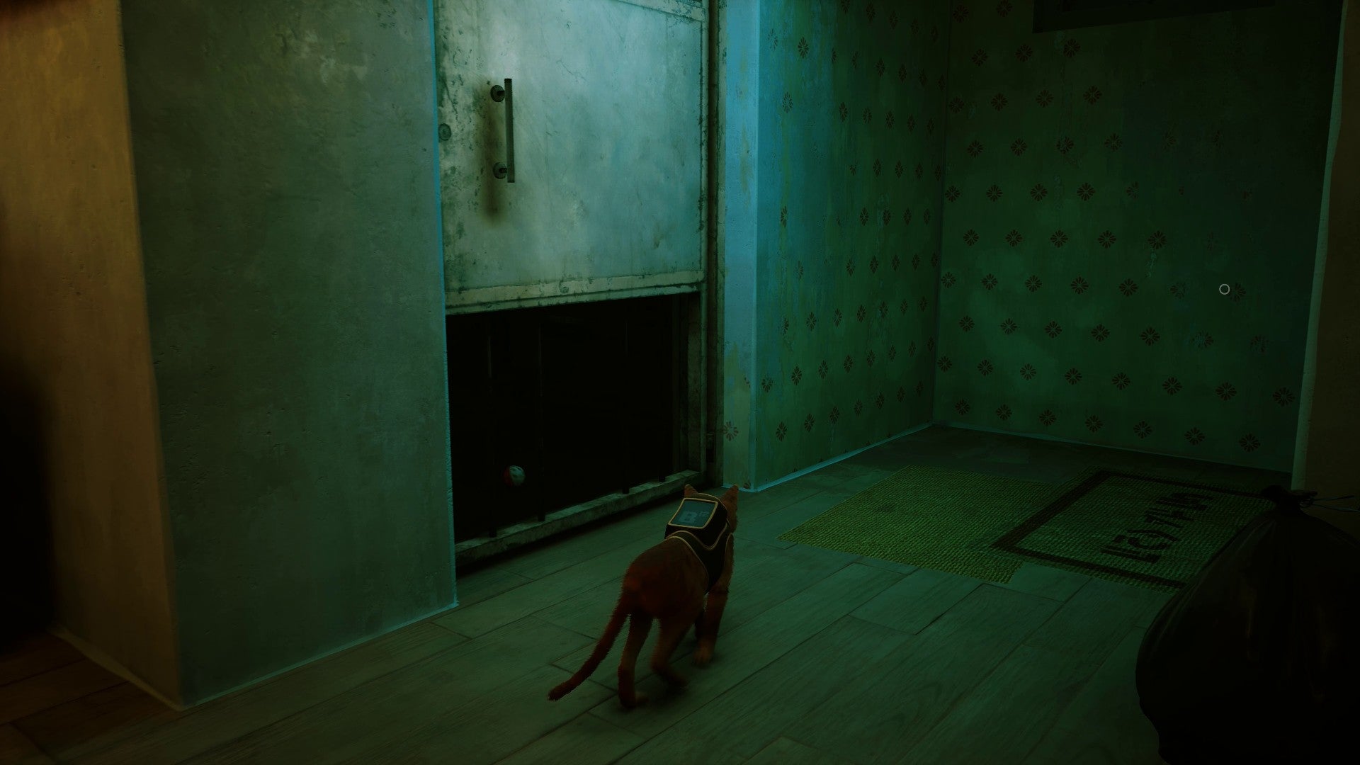 Stray screenshot showing a cat in a murky corridor. The cat is staring at a door with some bars underneath.