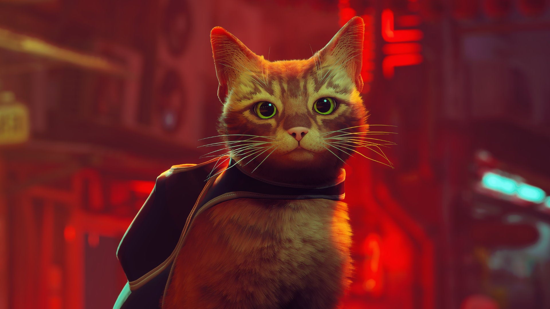 PC-Spieler starten Cat Adventure Stray auf Steam, obwohl es auf PlayStation im Moment kostenlos ist