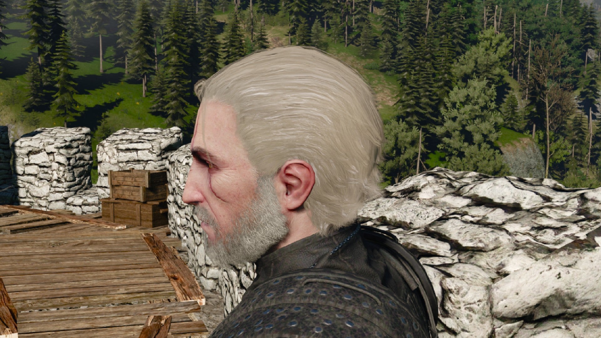 Captura de pantalla de Witcher 3 que muestra el corte de pelo rebelde élfico de Geralt desde un lado.