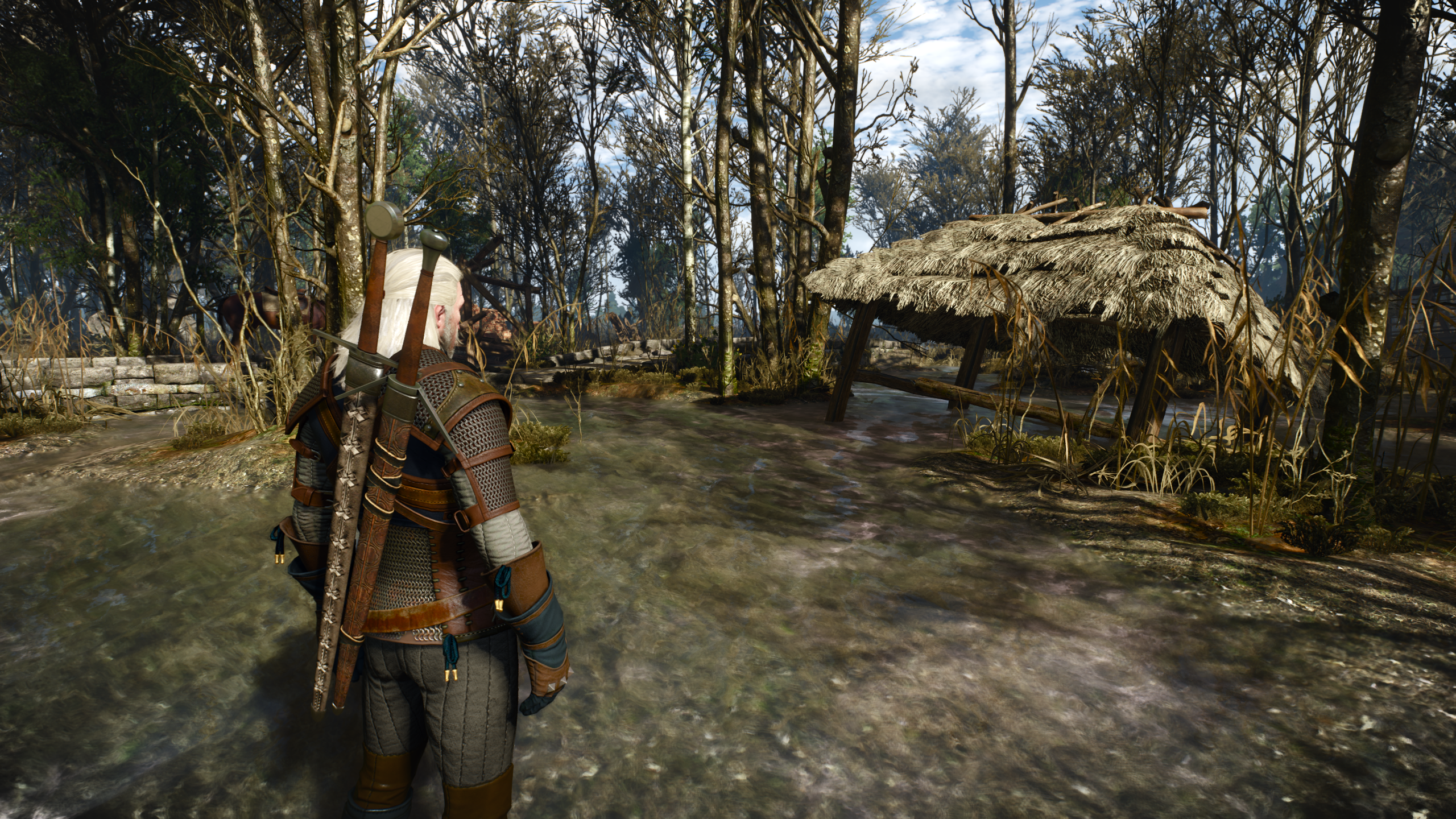The Witcher 3: Wild Hunt running with screen space reflections on Low quality.