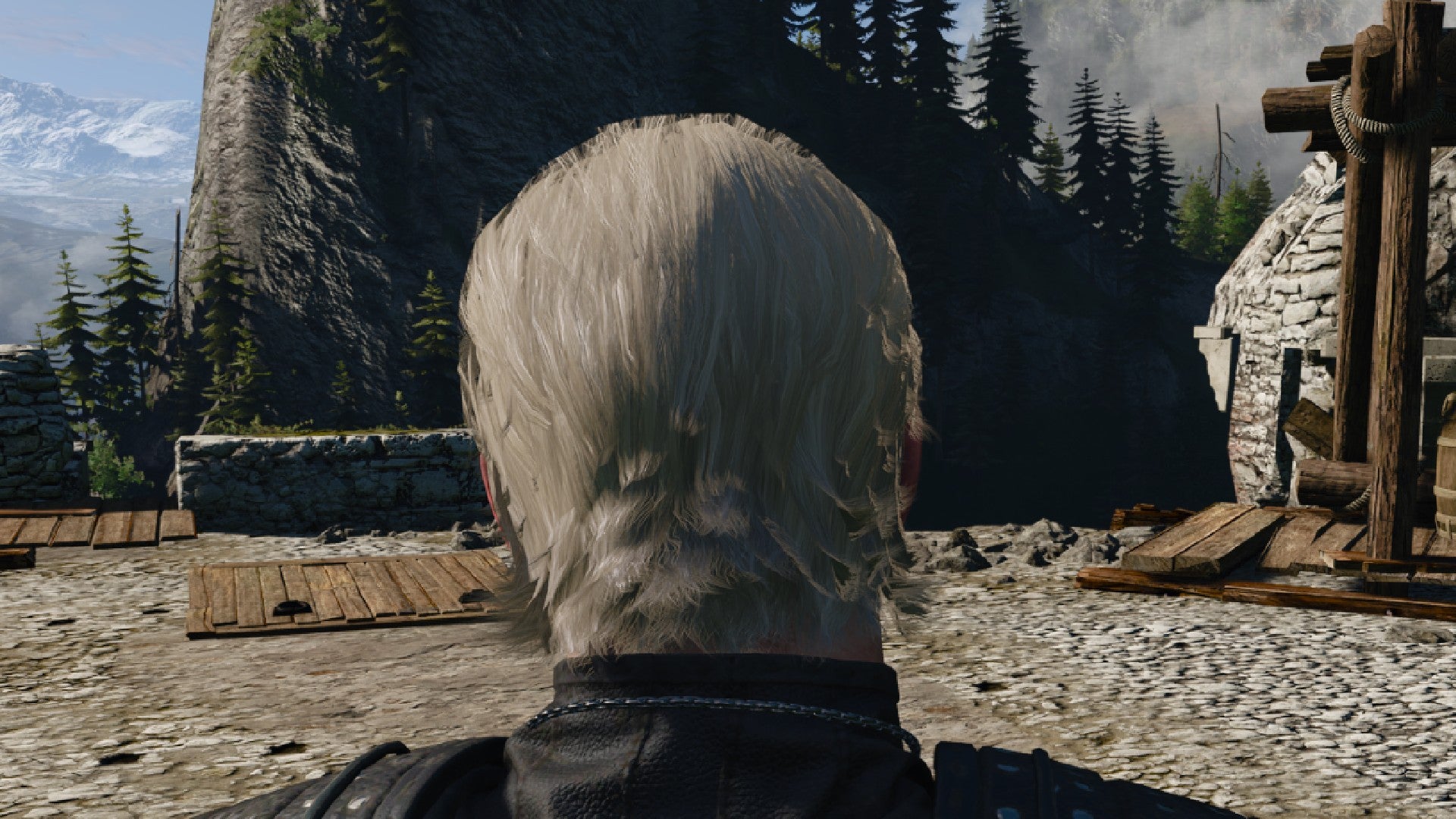 Captura de pantalla de Witcher 3 que muestra el corte de pelo rebelde élfico de Geralt desde atrás.