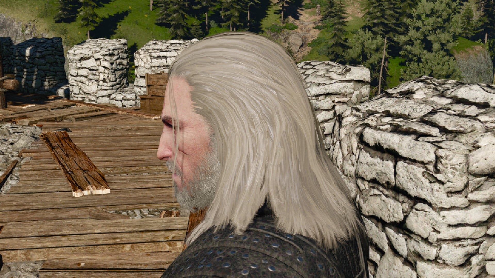 Captura de pantalla de Witcher 3 que muestra el corte de pelo largo y suelto de Geralt desde un lado.