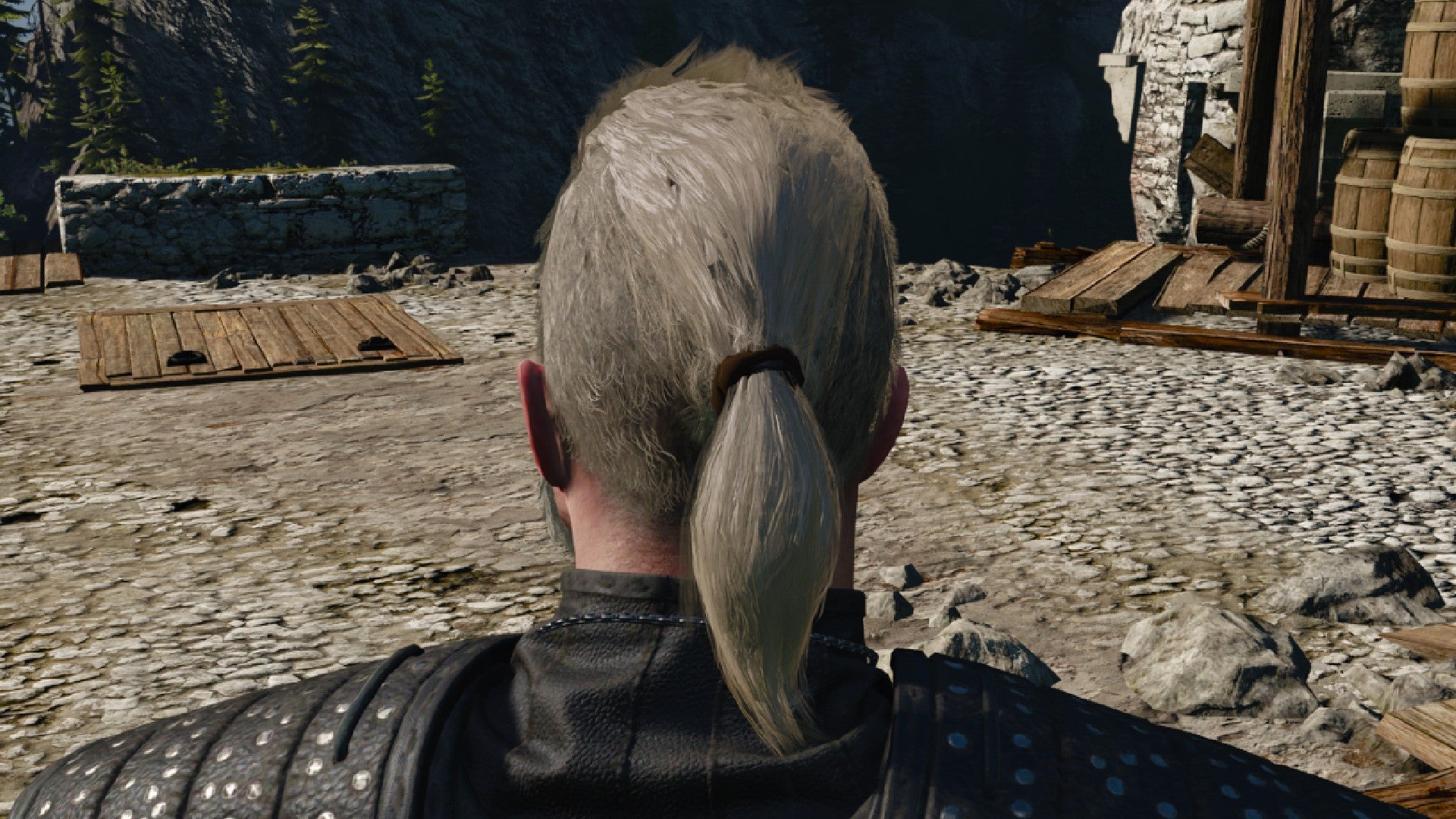 Captura de pantalla de Witcher 3 que muestra el corte de pelo mohawk y cola de caballo de Geralt desde atrás.