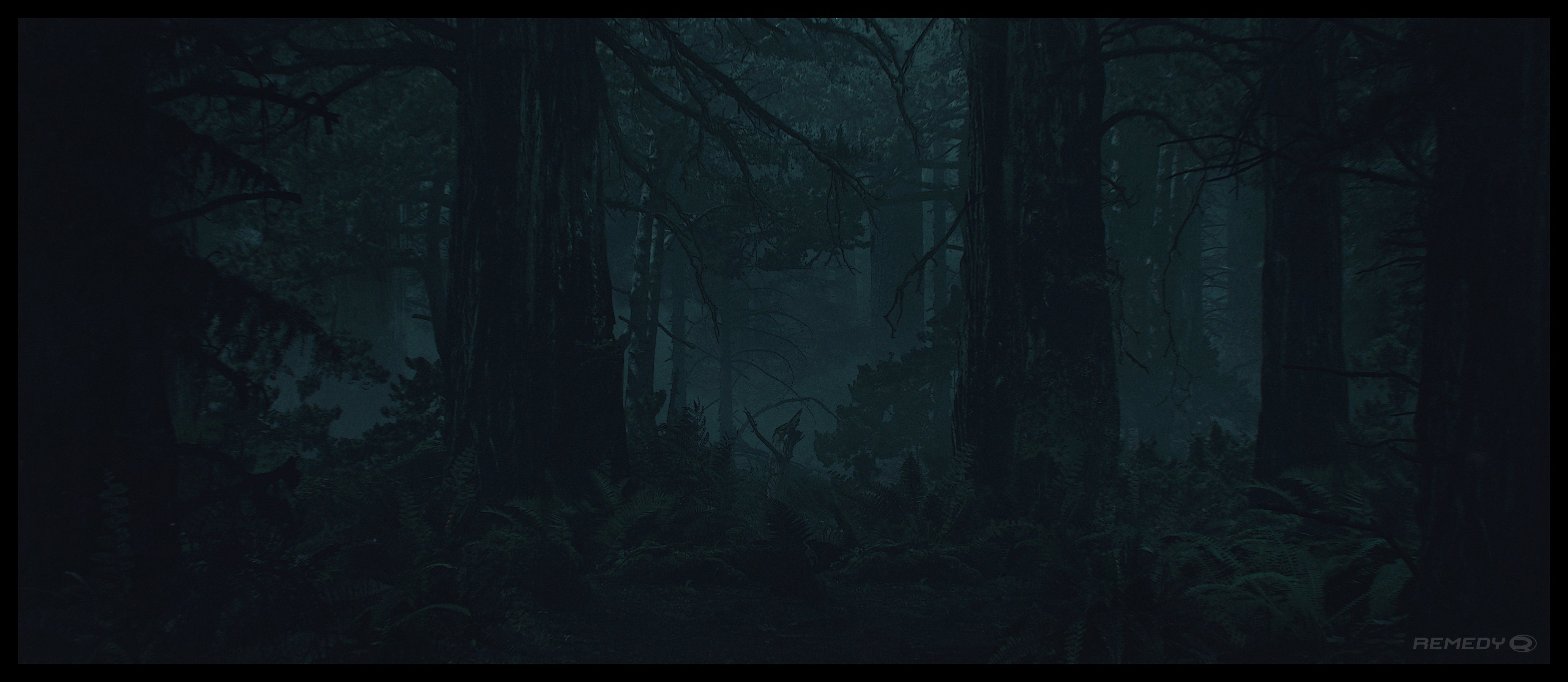Alan Wake 2 concept art showing a moody forest at night.