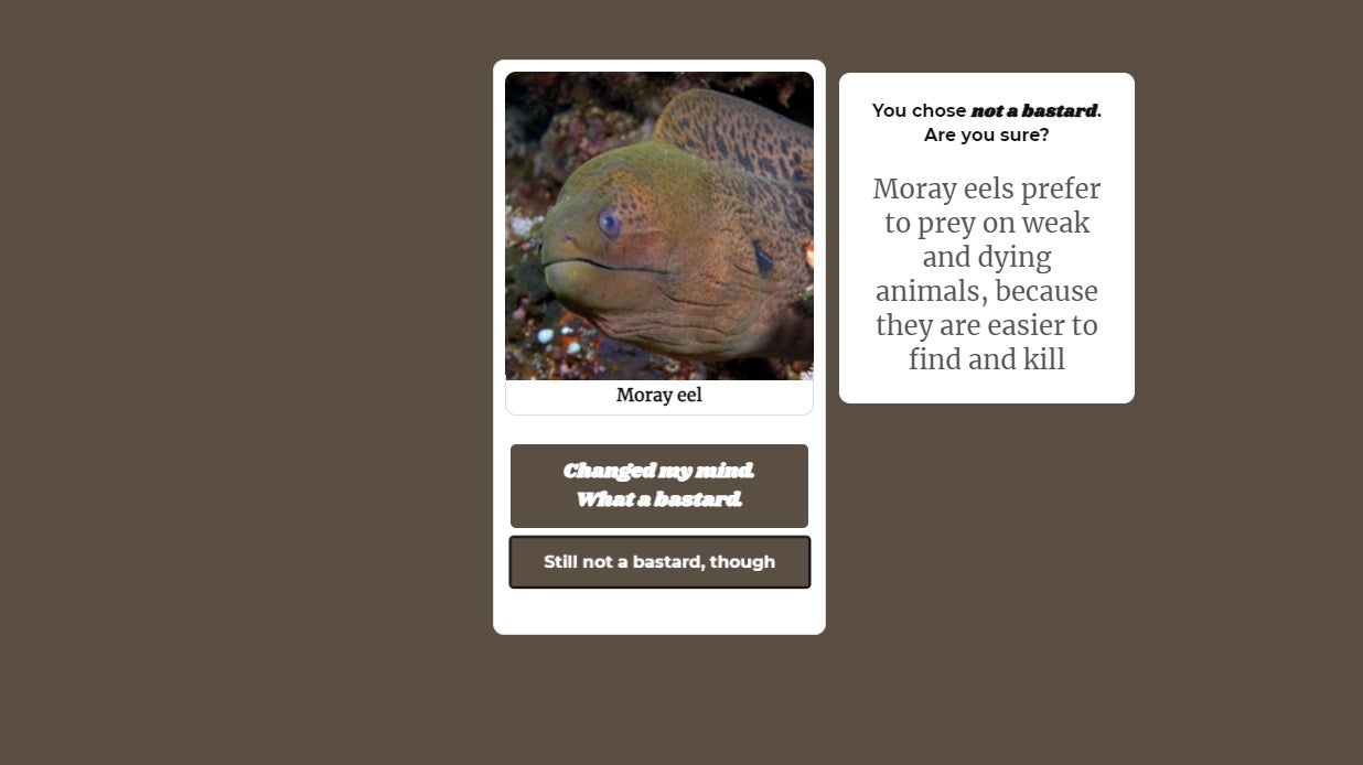 An image of a moray eel, alongside a text box reminding you that they hunt weak and dying animals for convenience.