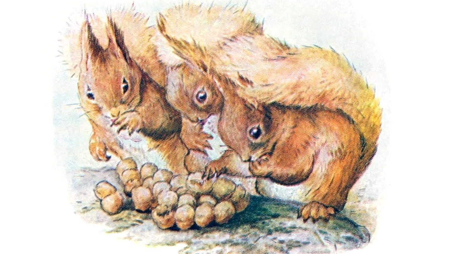 A watercolour illustration by Beatrix Potter, for The Tale Of Squirrel Nutkin, depicting three red squirrels looking at a heap of hazelnuts they've collected