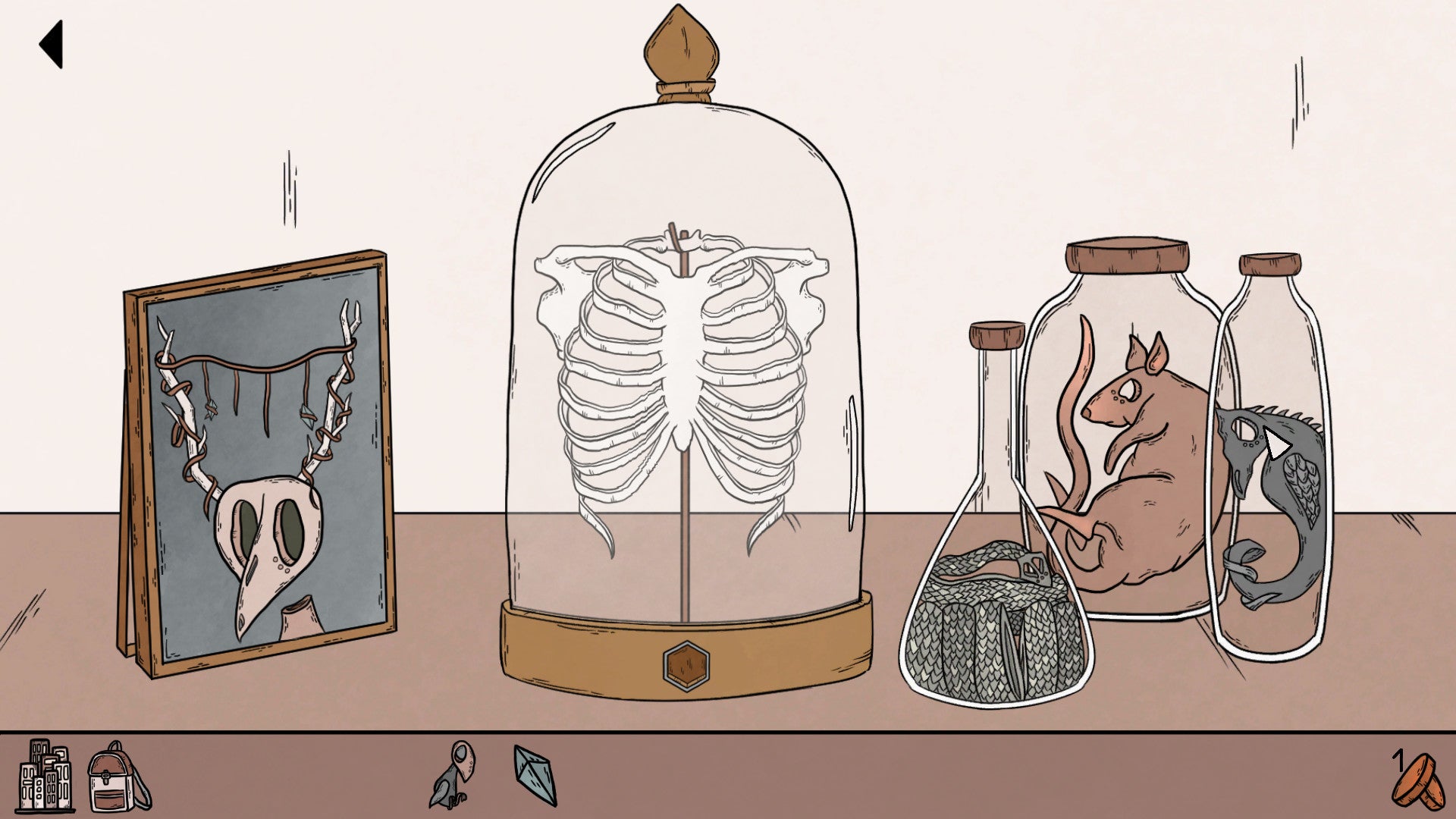 A screenshot from Birth which shows some ribs in a glass, a portrait of a bloke with antlers, and some animals in jars.