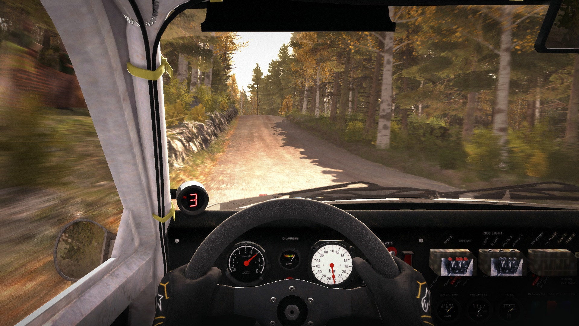 Image for Dirt Rally is free for keepsies right now