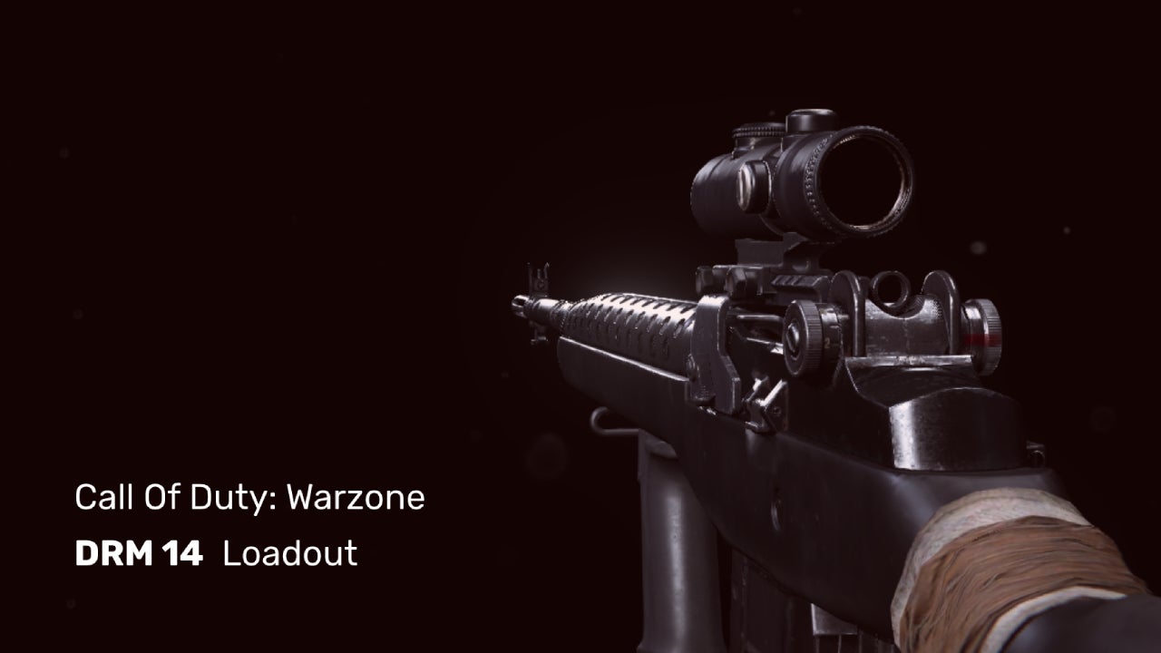 Image for Best DMR 14 loadout in Warzone