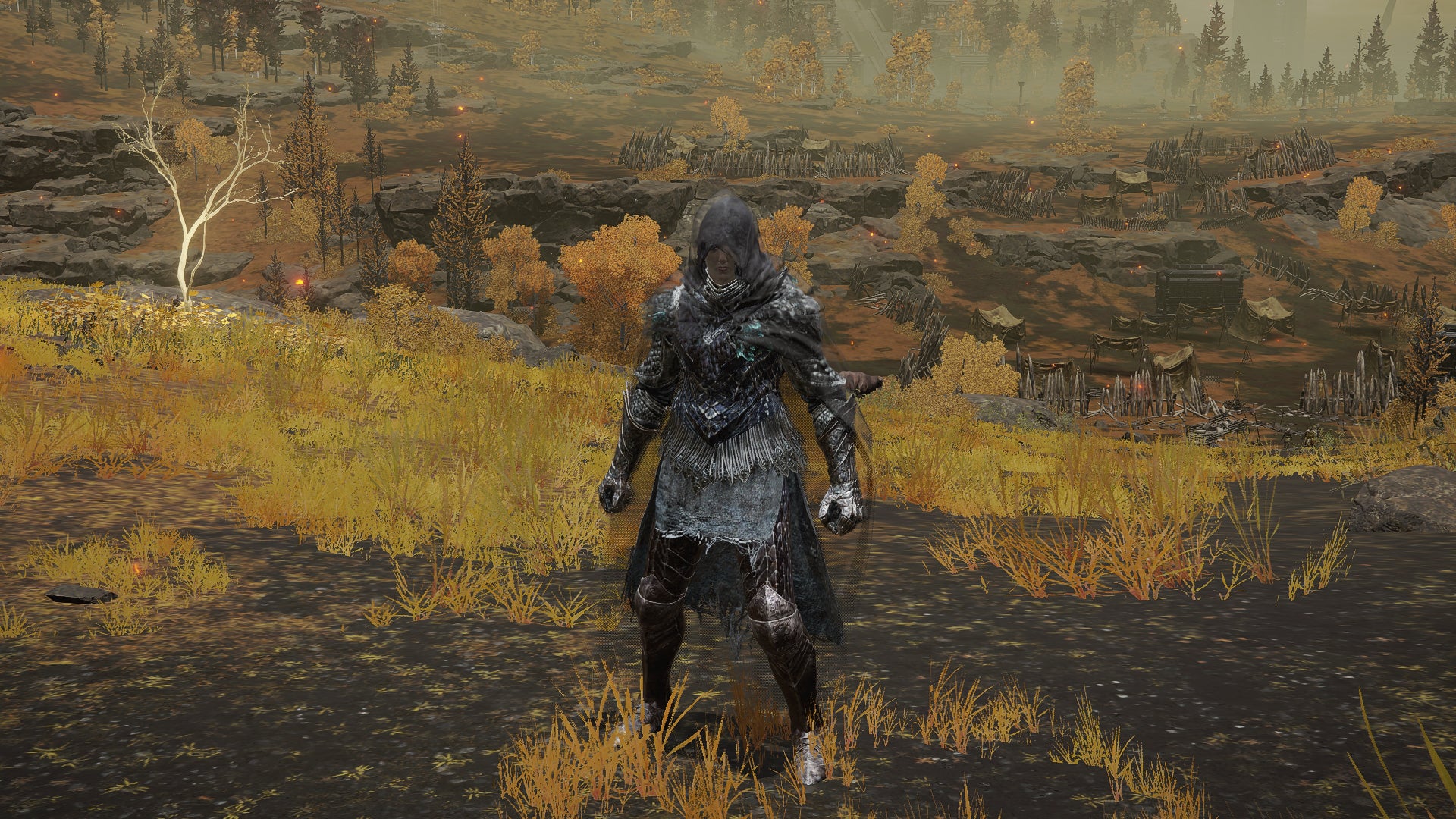 The player in Elden Ring stands in front of the camera wearing the Black Knife armour set. Behind them is a view of the Altus Plateau.