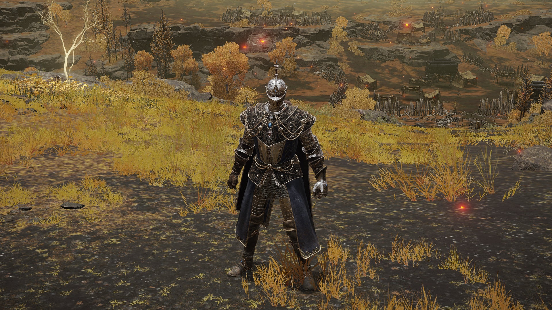 The player in Elden Ring stands in front of the camera wearing the Carian Knight armour set. Behind them is a view of the Altus Plateau.