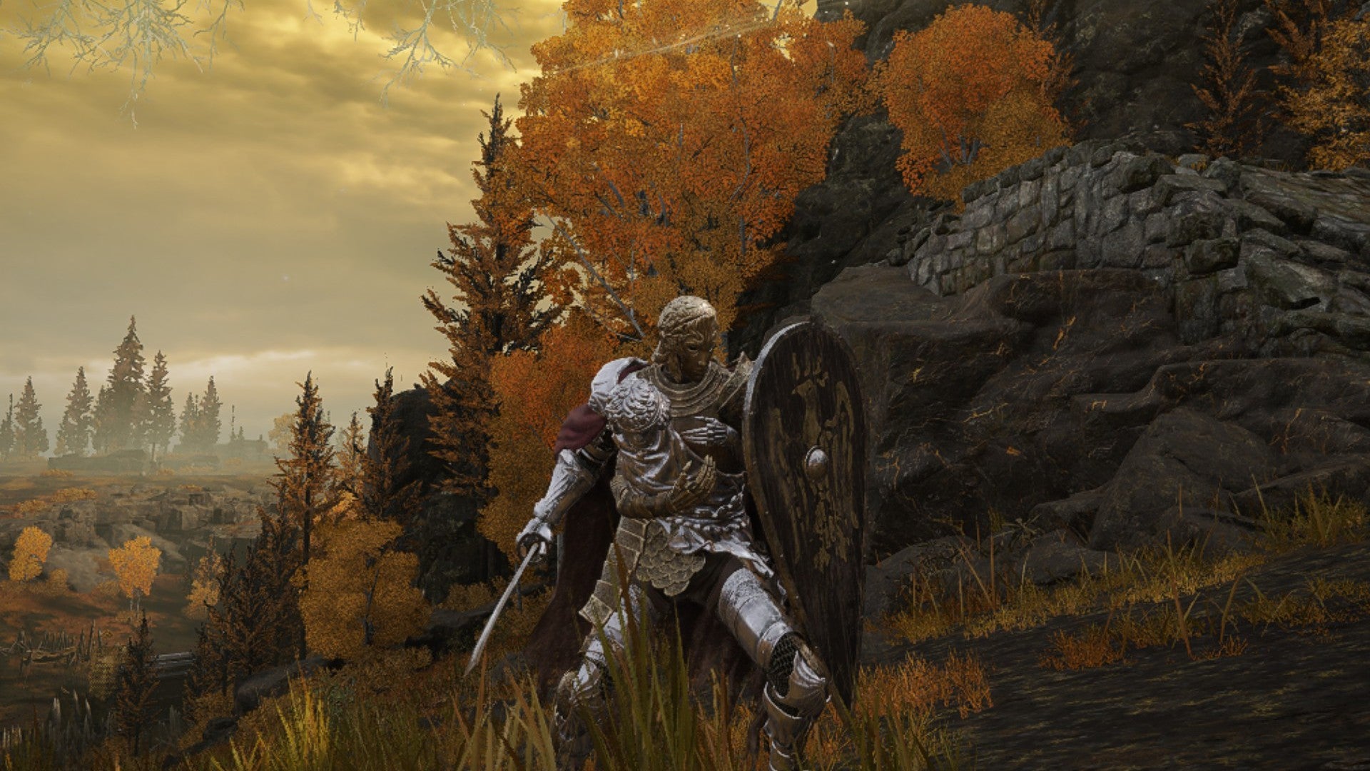 Elden Ring player wielding a katana and a tower shield on the erdtree gazing hill
