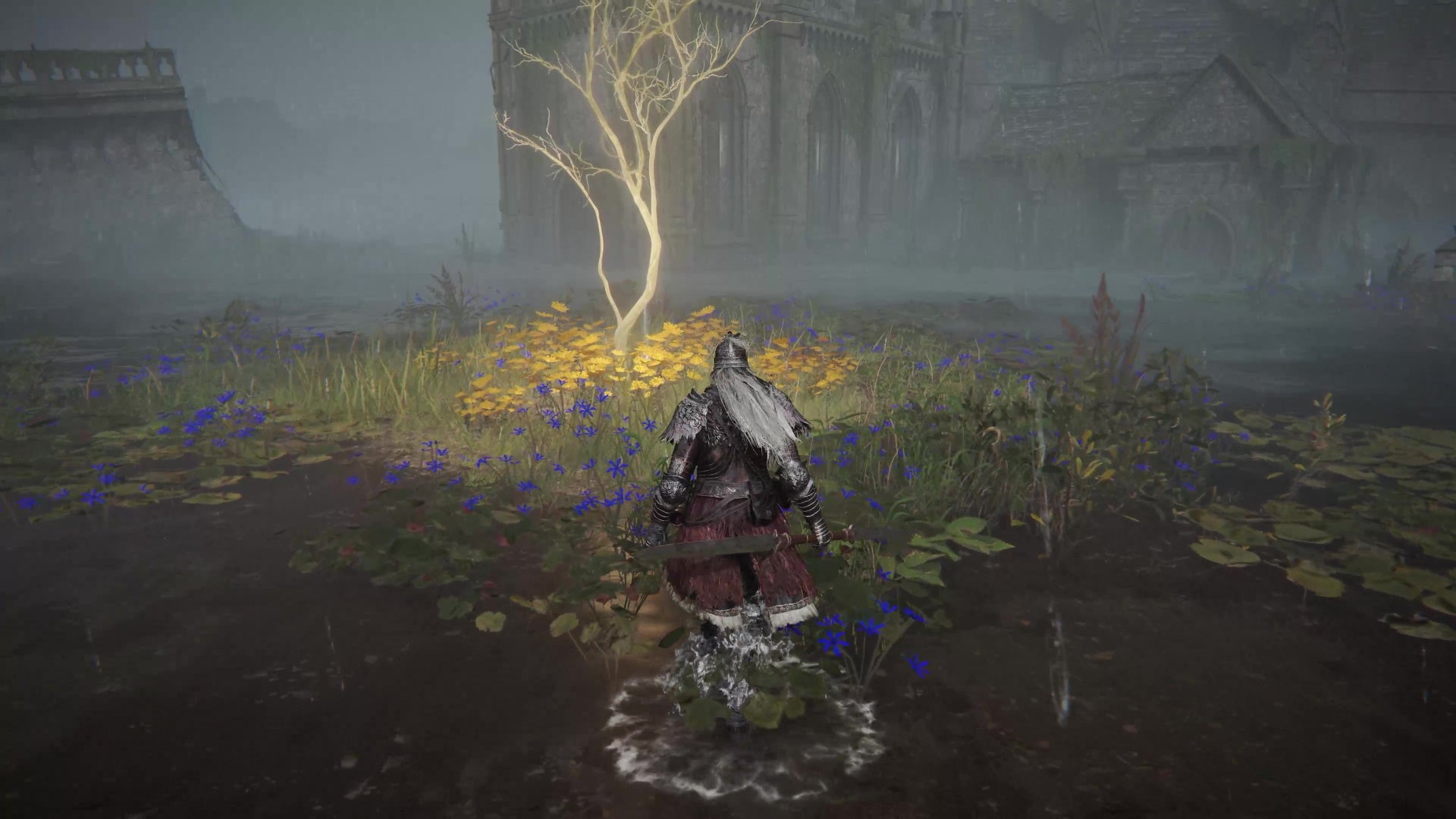 A screenshot from Elden Ring which shows the player approach a golden tree.