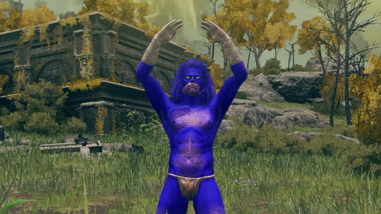 Sonic The Hedgehog in Elden Ring, doing the ring pose.