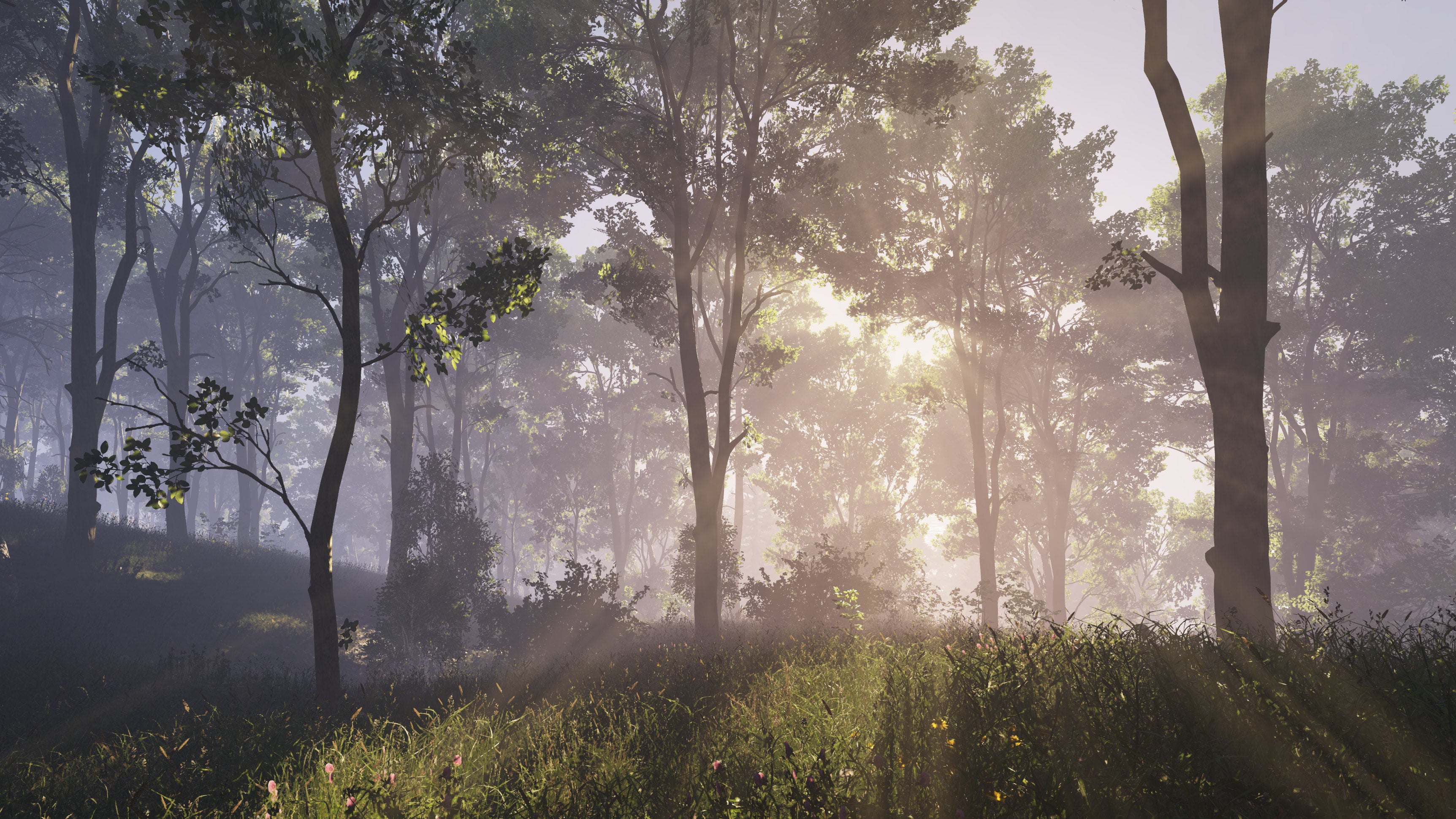 Uma floresta em uma captura de tela do Enfusion, o novo mecanismo de jogo da Bohemia Interactive.