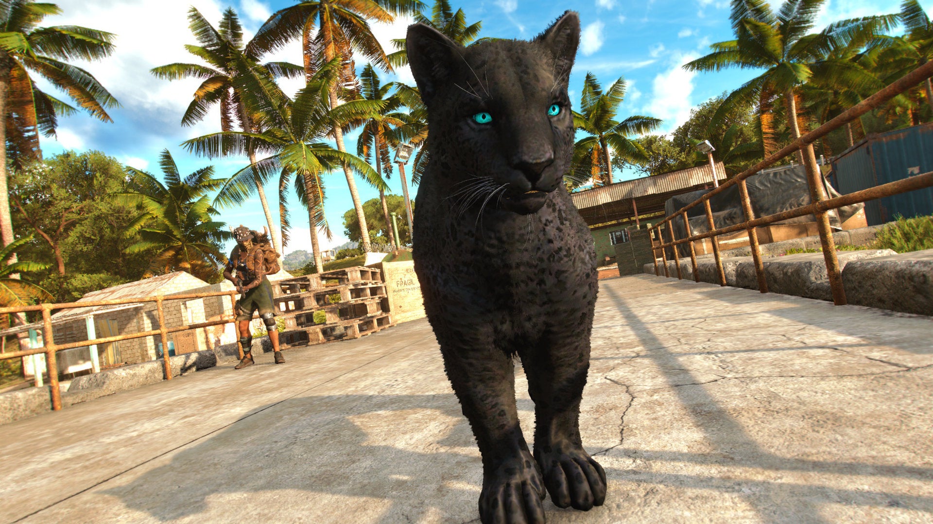 Far Cry 6: a close-up of the black panther Amigo named Oluso on a pier, with the protagonist Dani in the background.