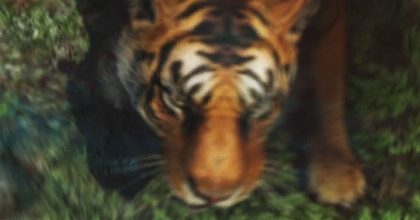 Image for Sad Tiger: No Dedicated Servers For Far Cry 3 Multi