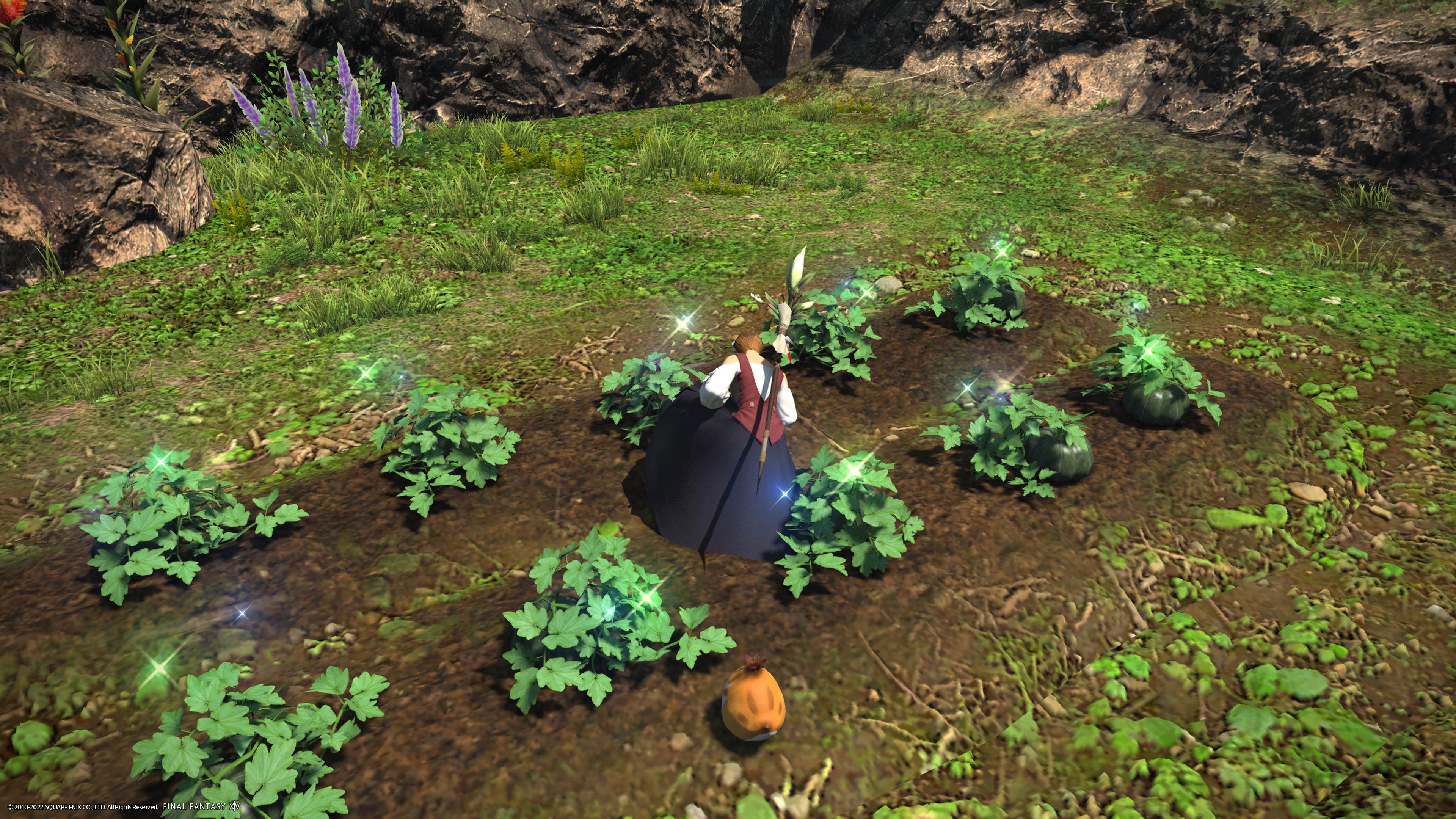 The player tends to a row of plants in a garden in Final Fantasy XIV's Island Sanctuary
