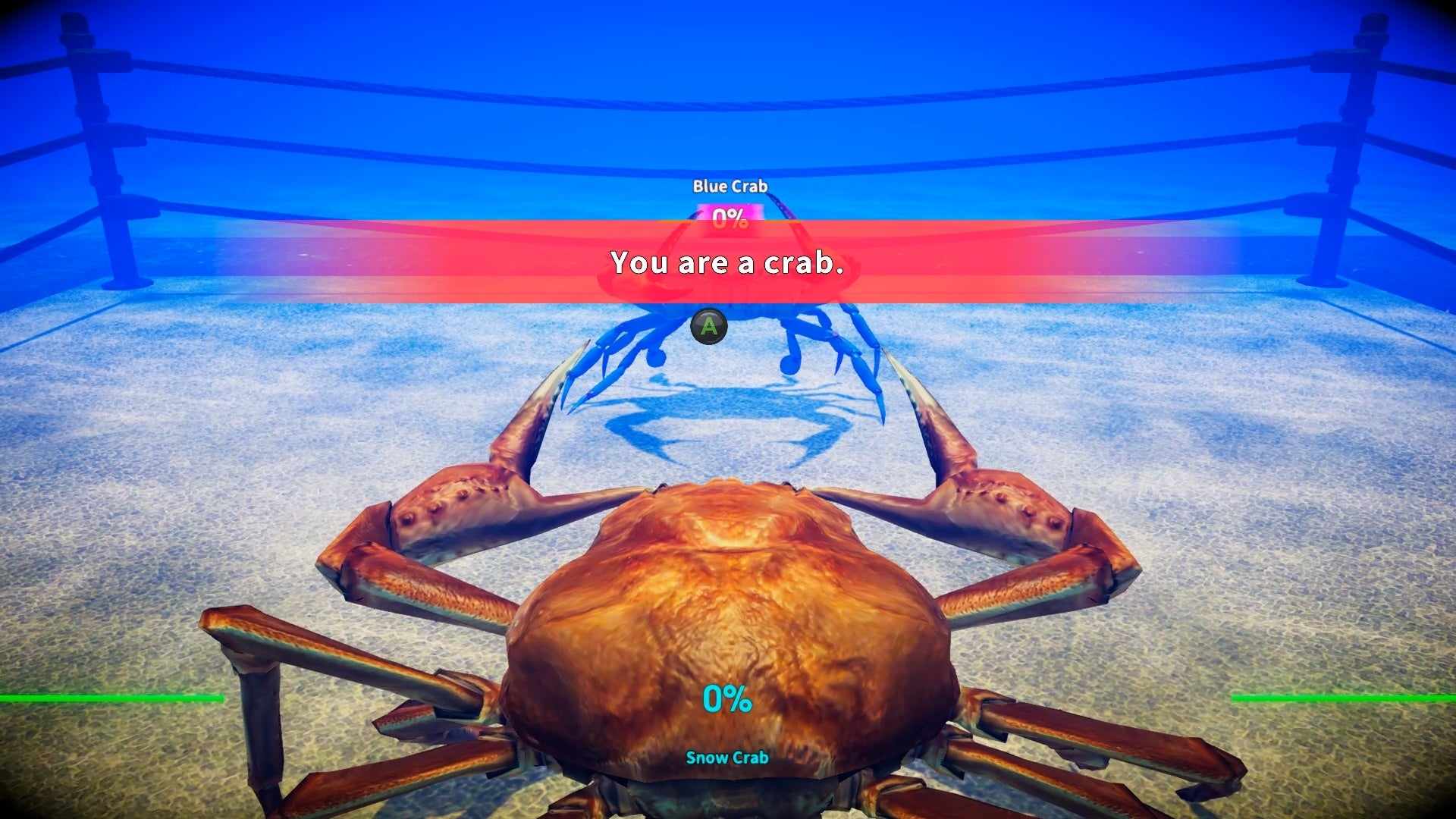 Fight Crab review | Rock Paper Shotgun