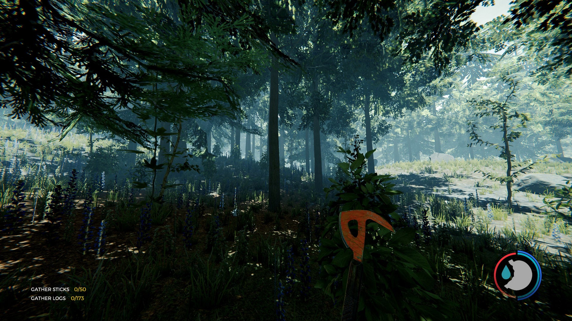 A shady forest scene in The Forest