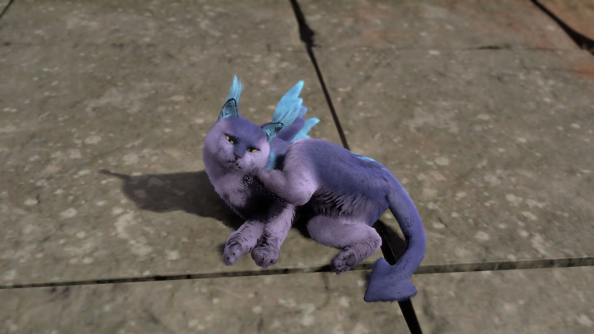A purple domestic cat with blue wings