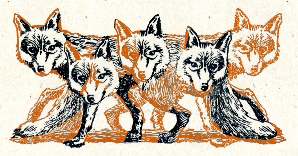 Image for The Flare Path: A Phantasmagoria Of Foxers