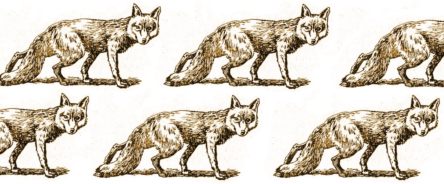 Image for The Flare Path: A Skulk Of Foxers