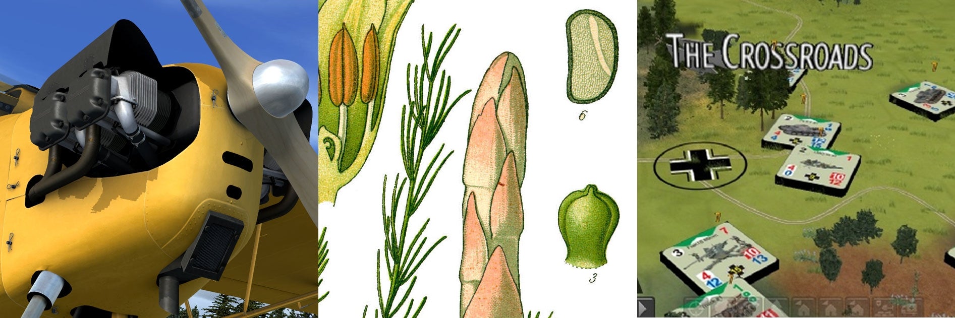 Image for The Flare Path: Asparagus Tips