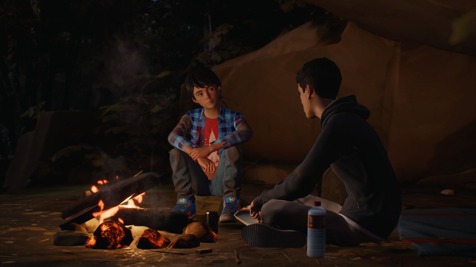 Image for Life Is Strange 2’s second episode will come out in January