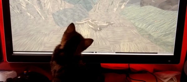 Image for World Exclusive Shelter Video Review (By A Kitten)
