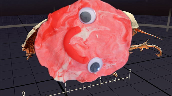 A smiling meat face covering up one of Valve's SteamVR Home CT bug scans.