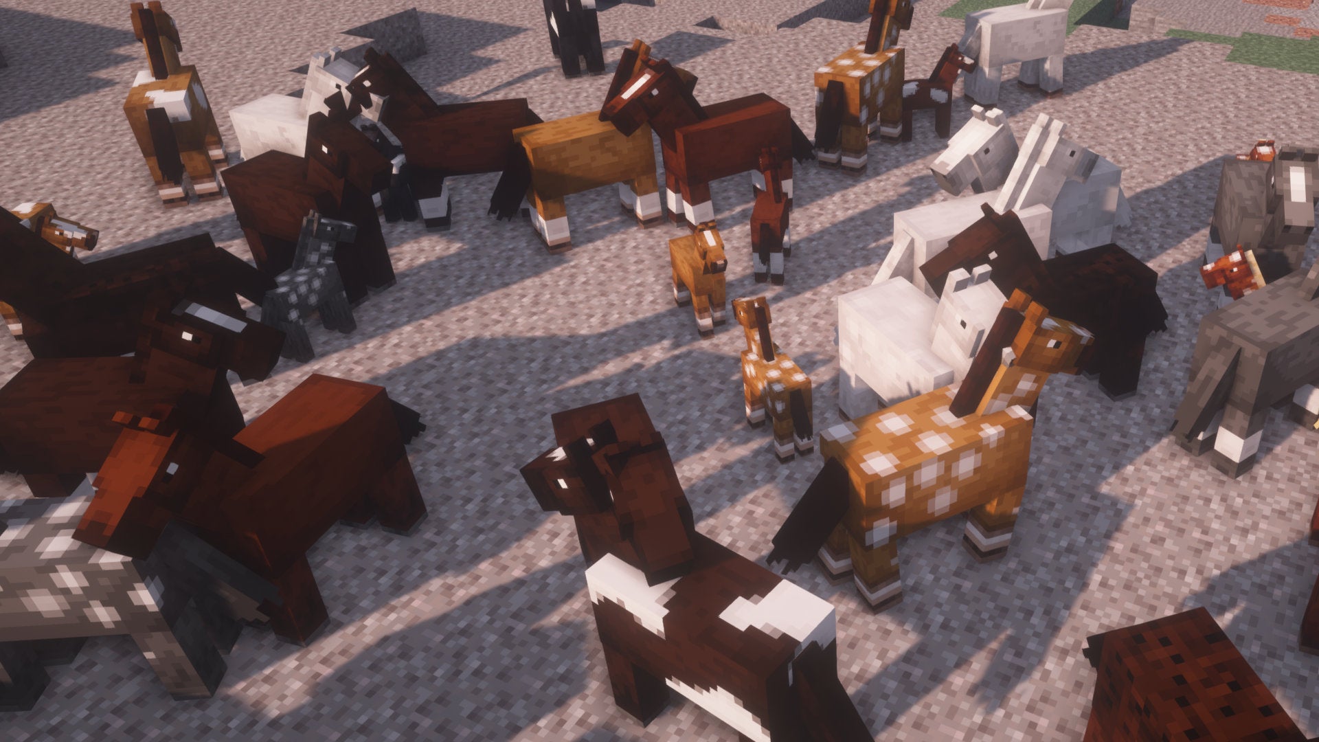 A Minecraft screenshot of many horses of different colours and markings in close proximity on a bed of gravel.