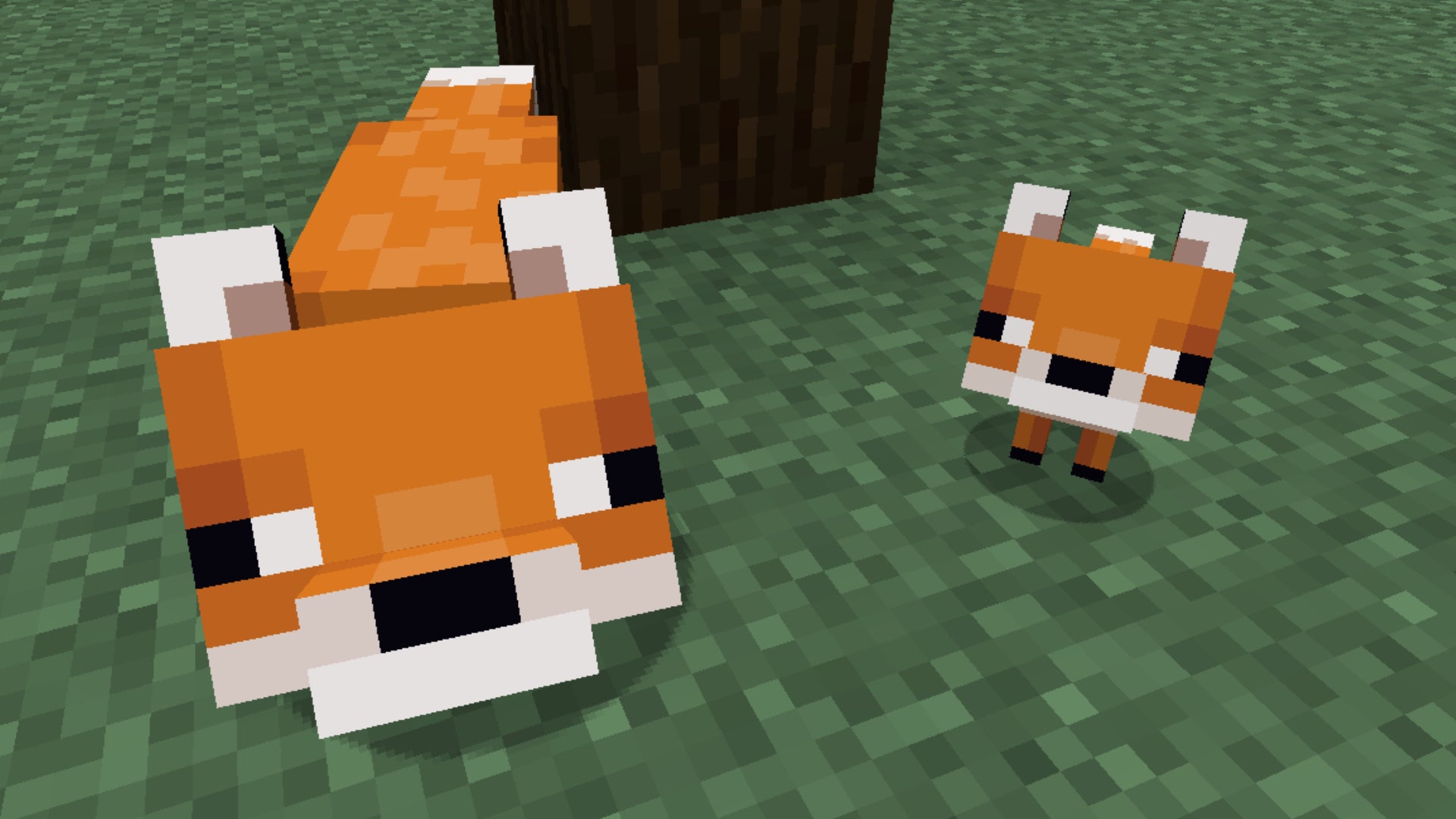 Minecraft fox taming: how to tame a fox | Rock Paper Shotgun