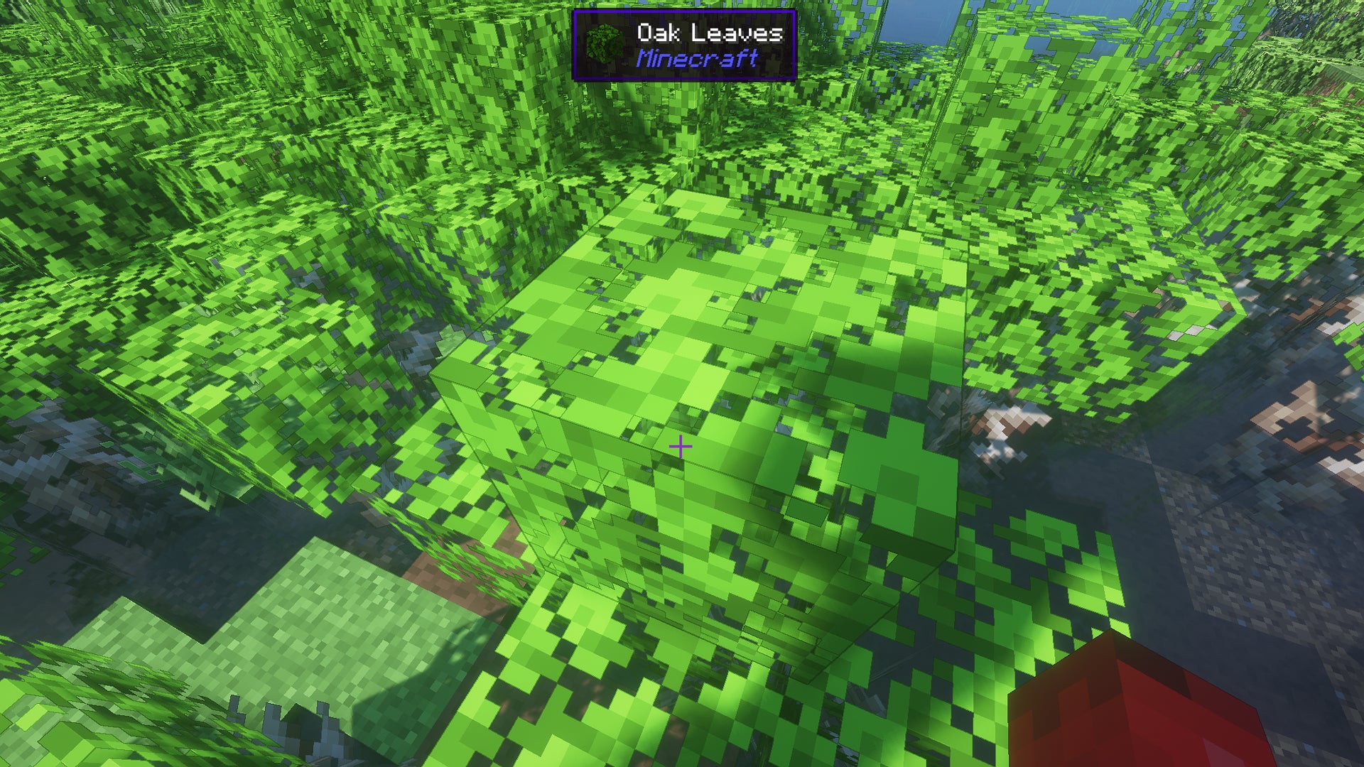 A Minecraft screenshot of some Oak Leaves, with the HWYLA mod displaying details about the block to the player.