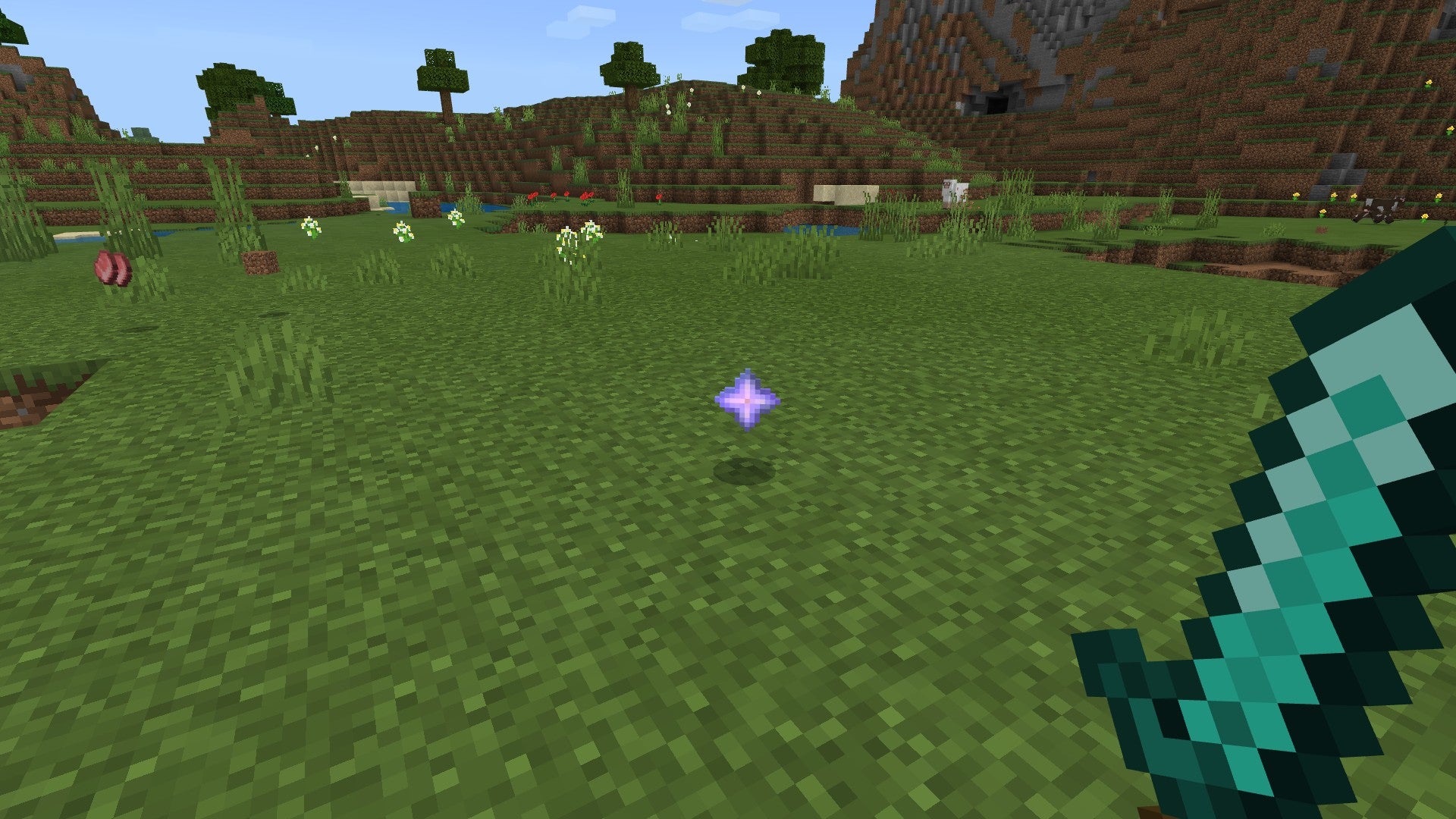 Minecraft nether star in plains biome
