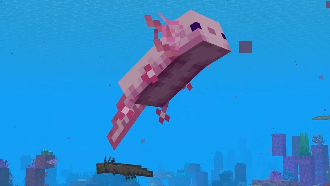 An axolotol swimming in a Minecraft screenshot.