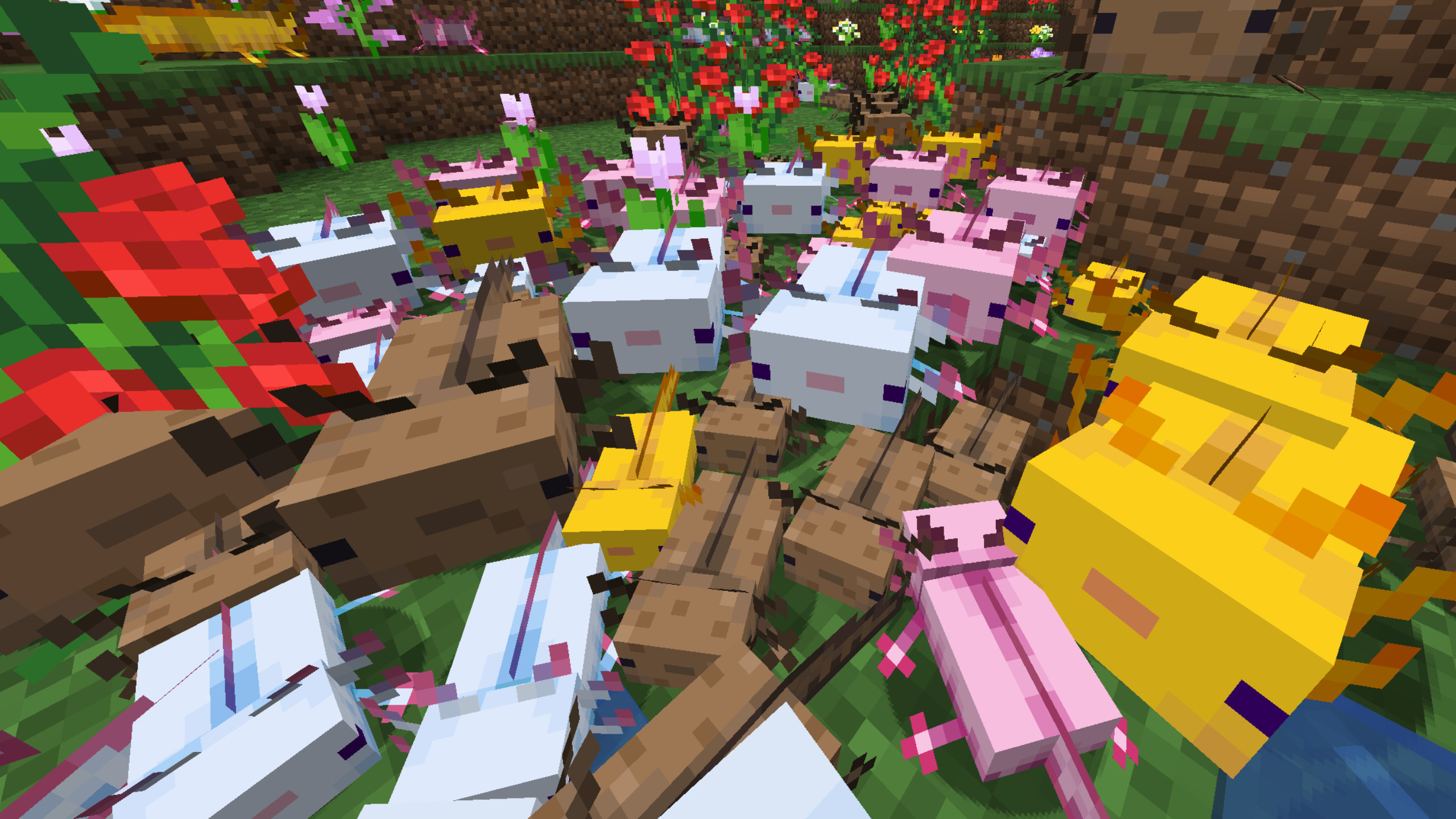 new minecraft axolotl colors