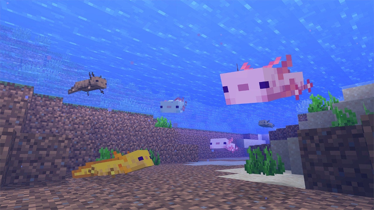 A screenshot from Minecraft's Caves & Cliffs update showing axolotls under water, looking happy, in various colours including pink, gold, brown and baby blue.