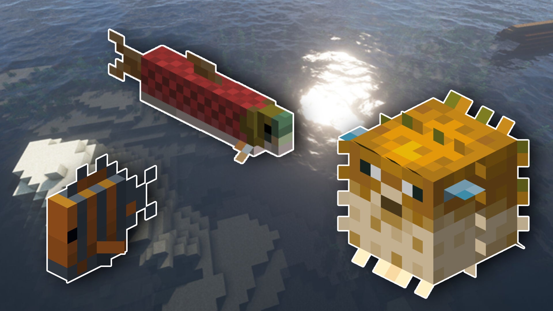 A selection of different Minecraft fish superimposed over a screenshot of the sea.