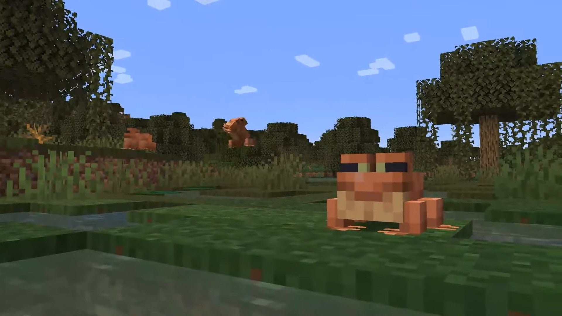 ضفدع يجلس على العشب في Minecraft The Wilds