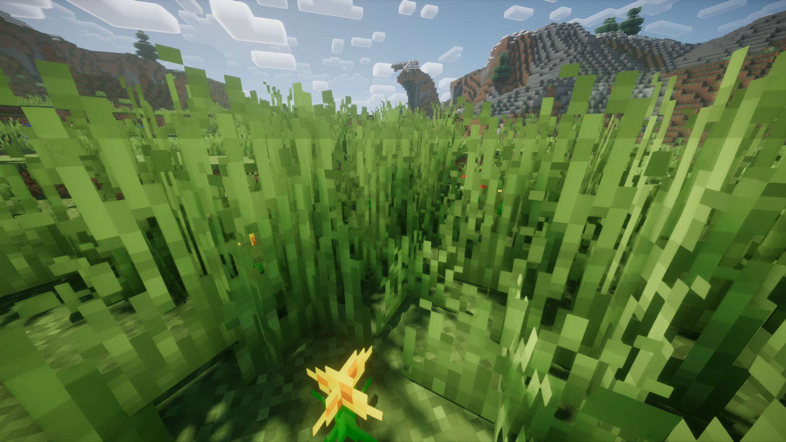 A Minecraft player is surrounded by long grass which impairs their visibility.