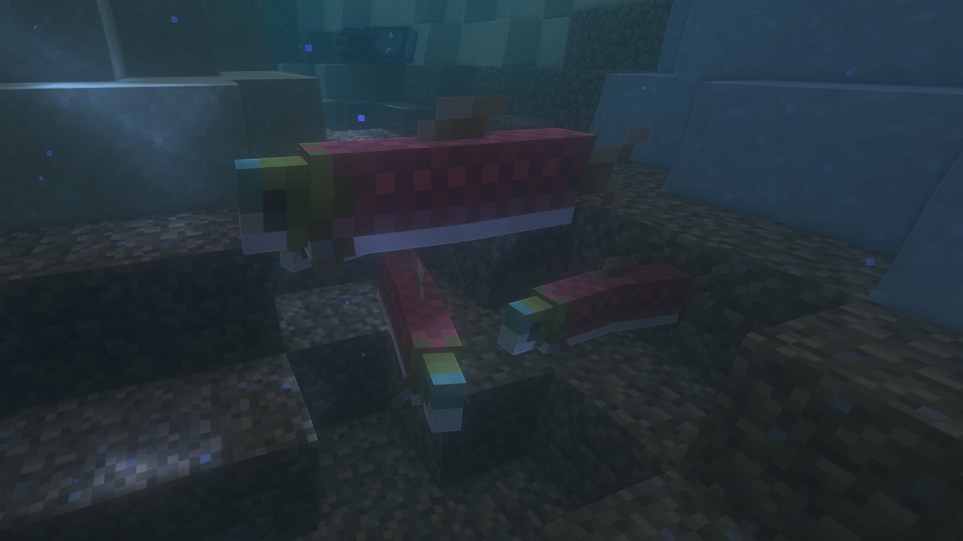 A run of salmon underwater in Minecraft.