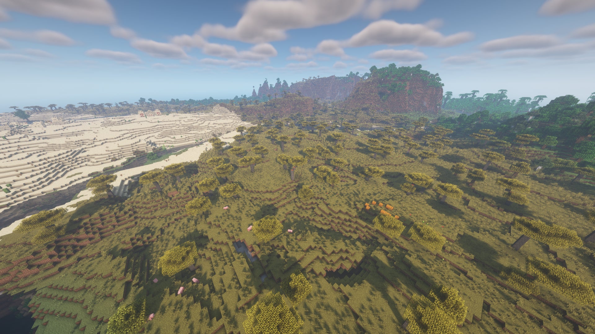 Un paysage Minecraft avec un désert à gauche, une forêt à droite et des montagnes au loin.