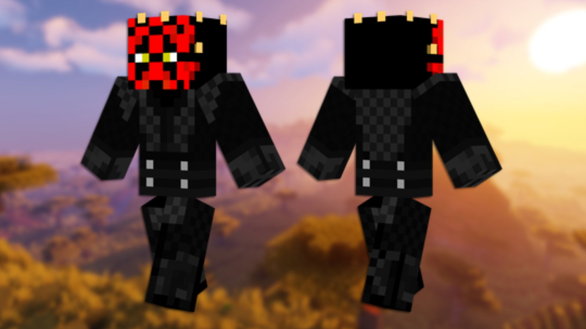A front and back view of the Einstein Minecraft skin.