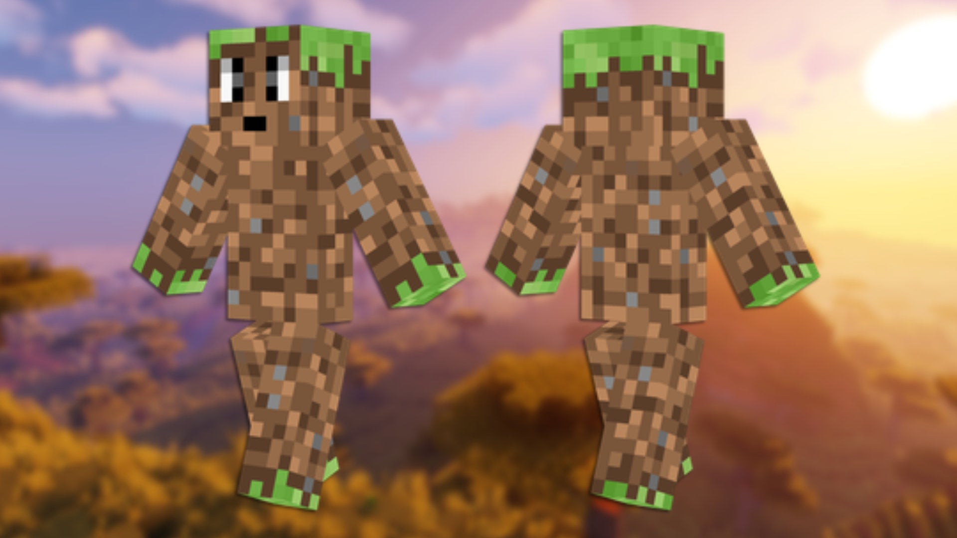 A front and back view of the Dirt Minecraft skin.