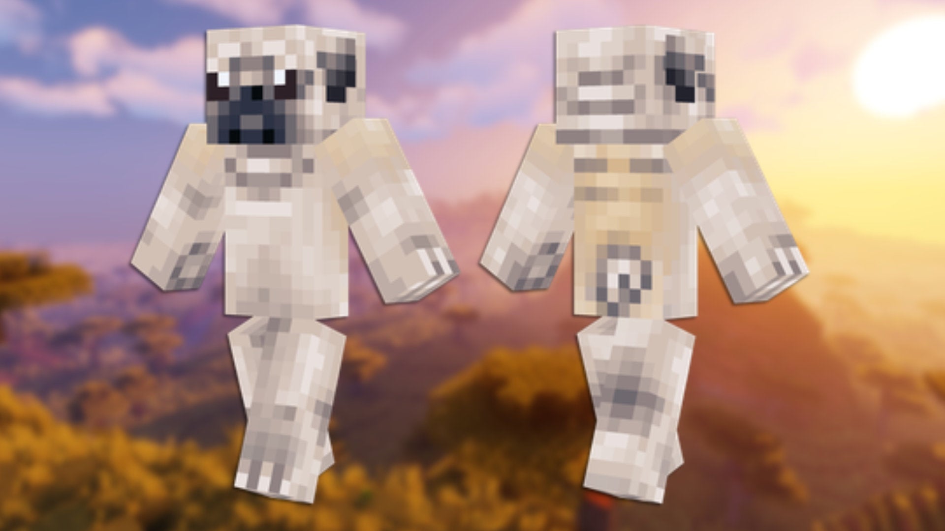 A front and back view of the Pug Minecraft skin.